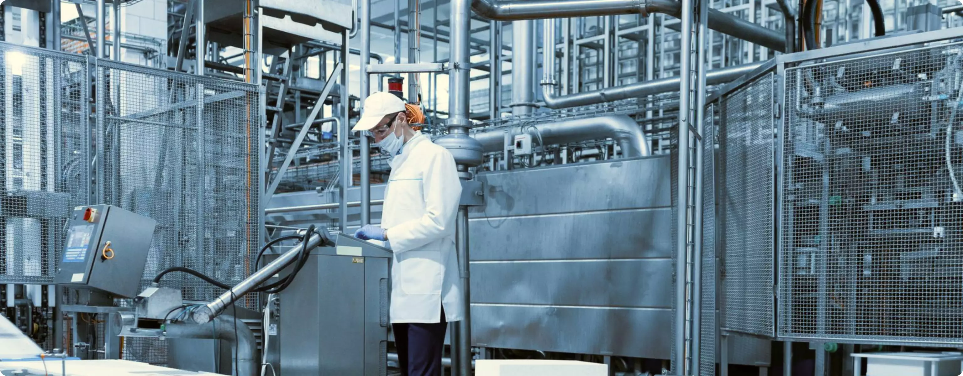 Einzigartige Lösungen für die Lebensmittel verarbeitende Industrie